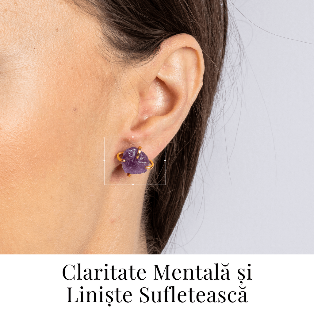 Puterea Linistii – Cercei cu Ametist si Inchidere cu Tija