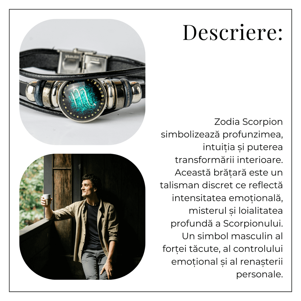 ZSC16-24-Scorpion3