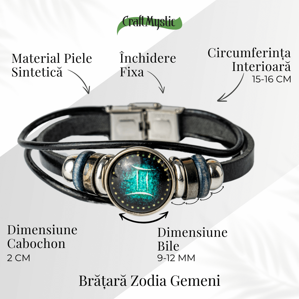 ZSC16-24-Gemeni4