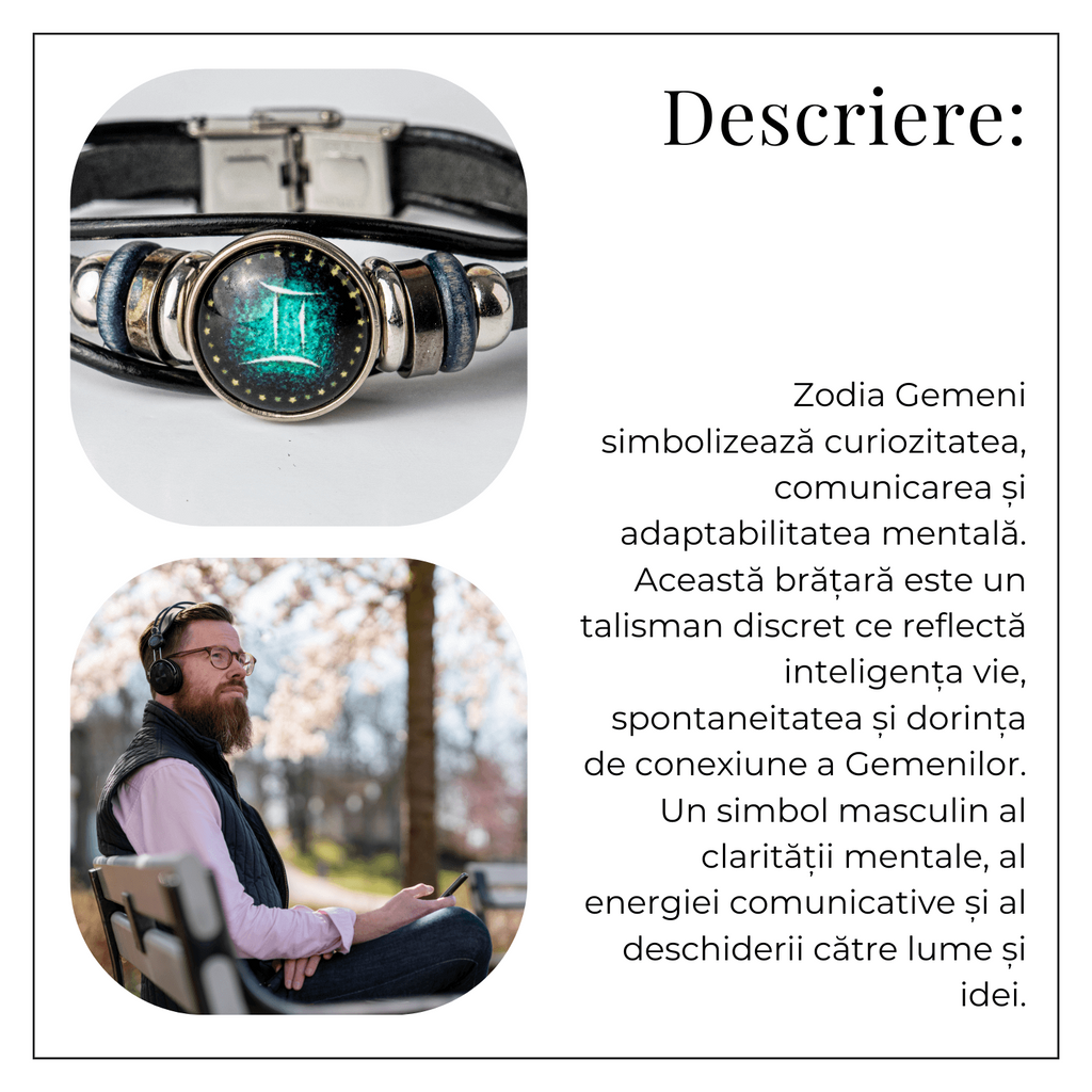 ZSC16-24-Gemeni3
