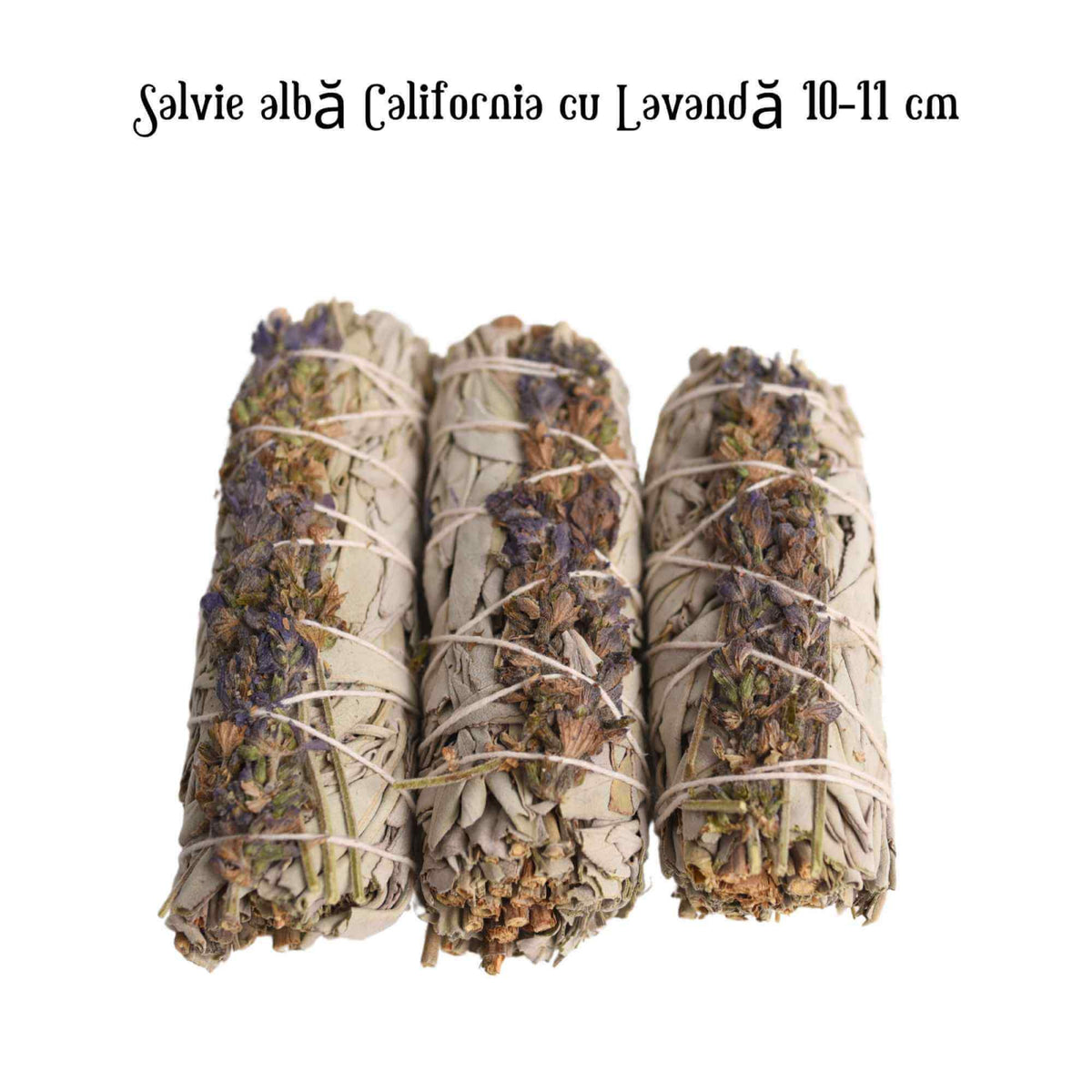 Buchet Salvie Alba California cu Lavanda 10-11 cm- Pacea si Purificarea