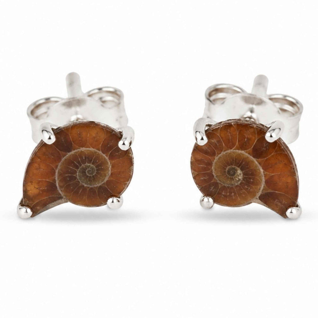 Cercei cu Amonit, Argint 925 – CraftMystic