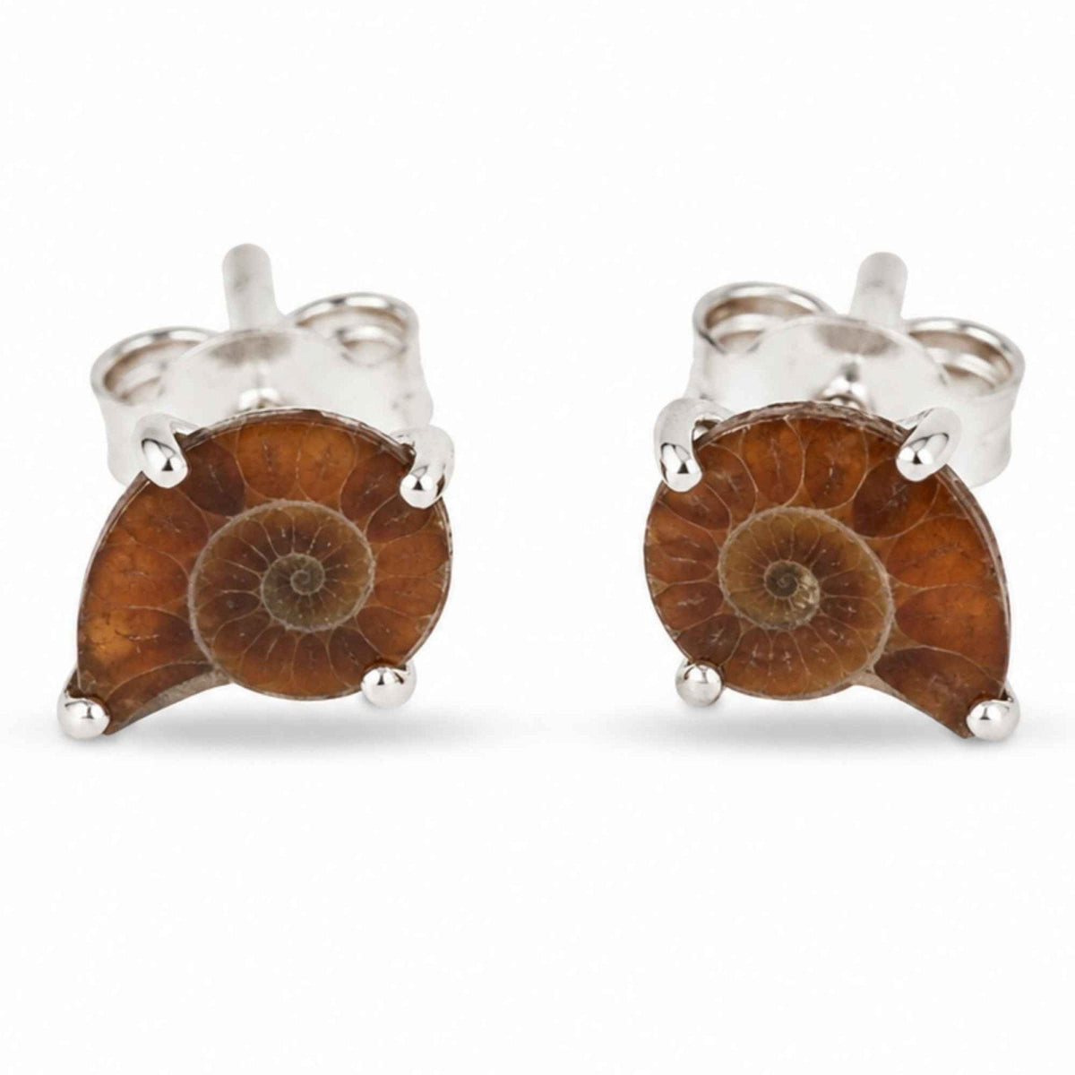 Cercei cu Amonit, Argint 925 – CraftMystic