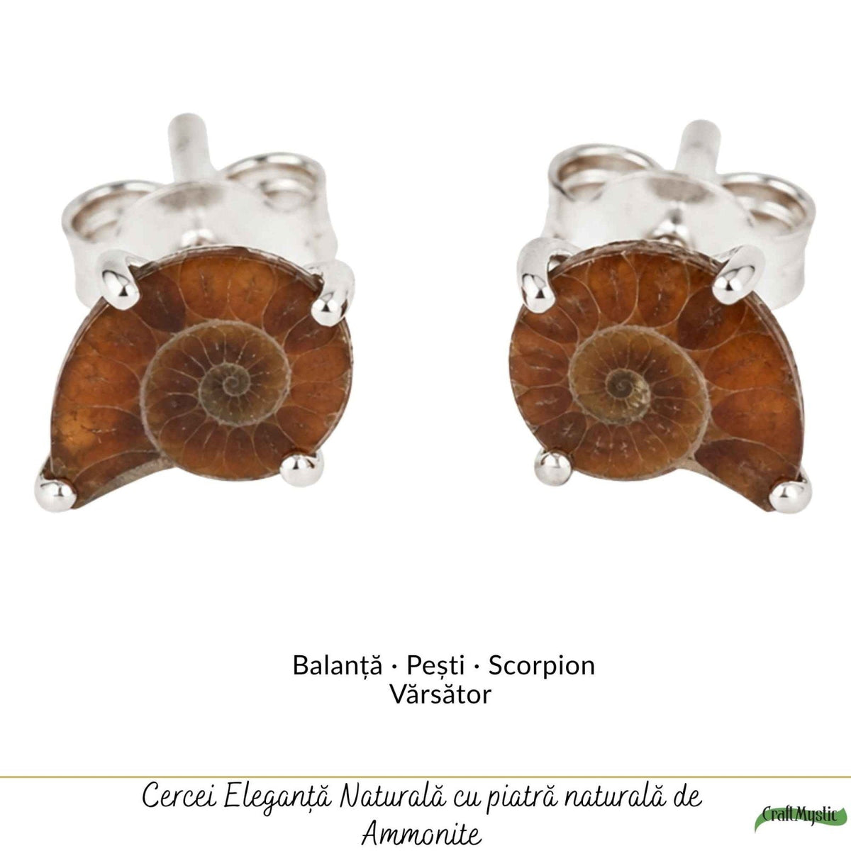 Cercei cu Amonit, Argint 925 – CraftMystic