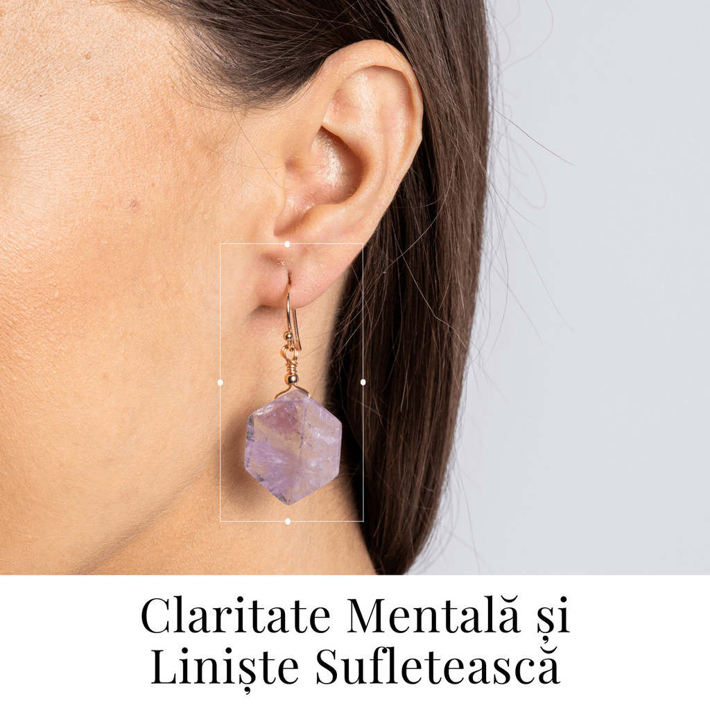 Claritate si Liniste – Cercei cu Ametist Hexagonal