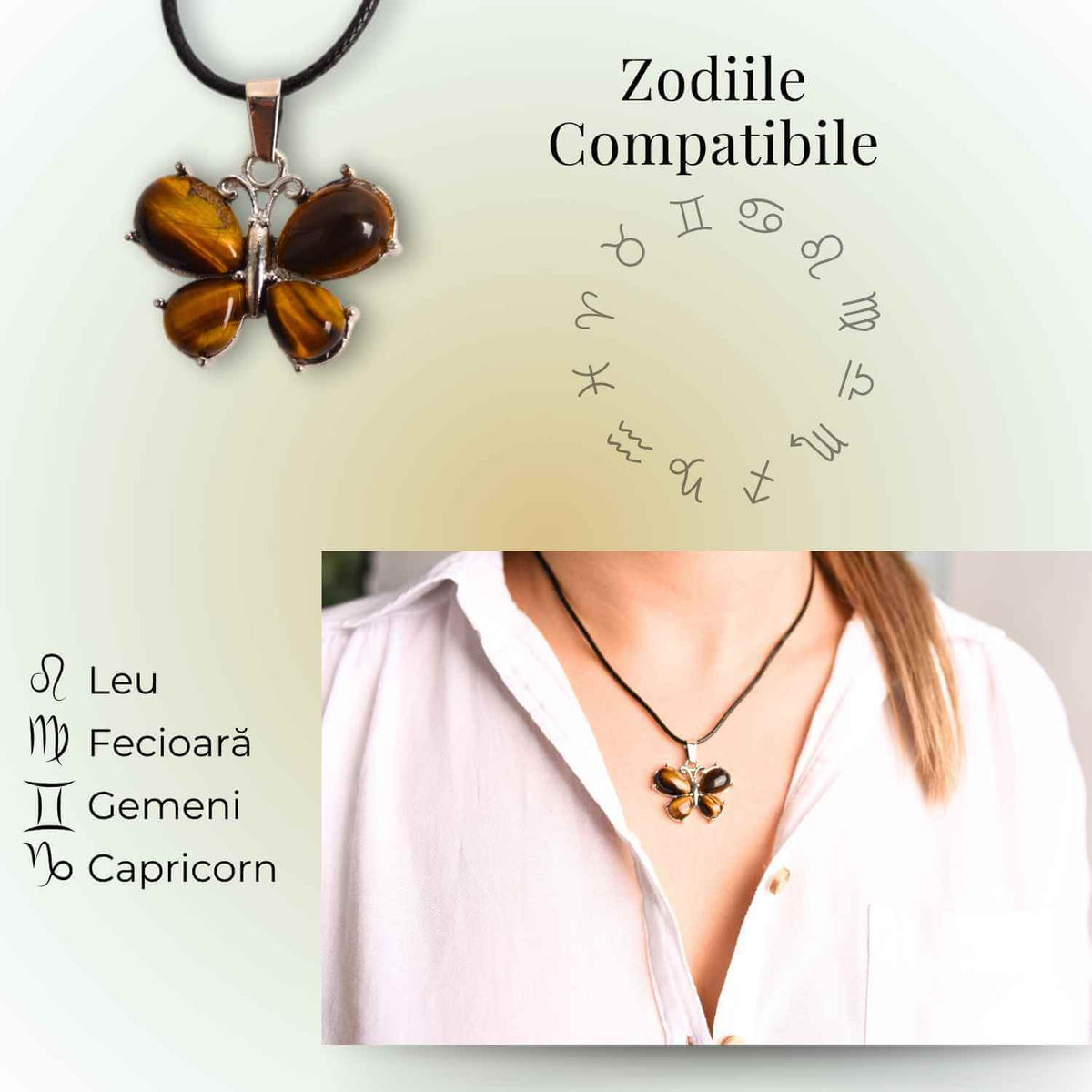 ZSC31-24B3
