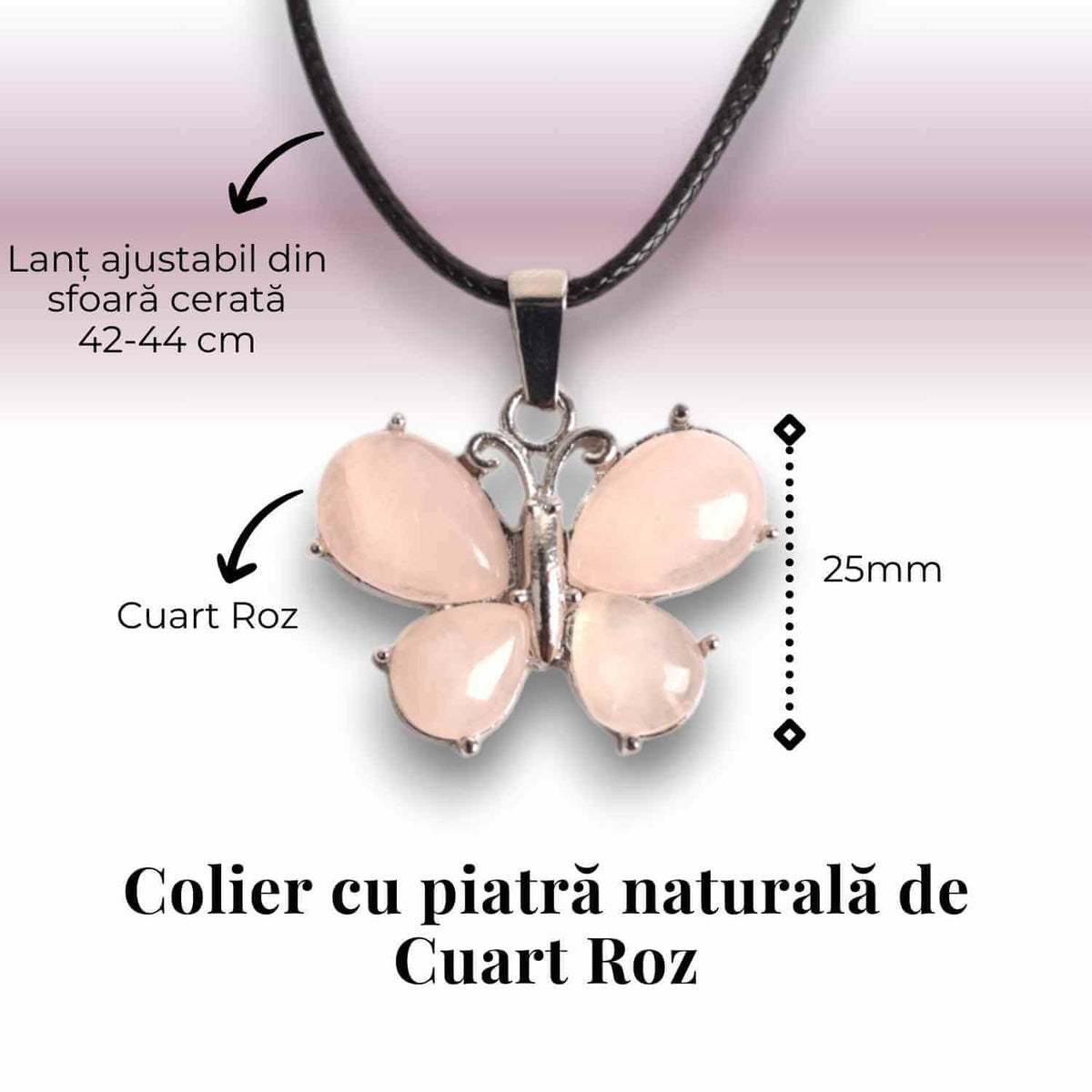 ZSC31-24A3