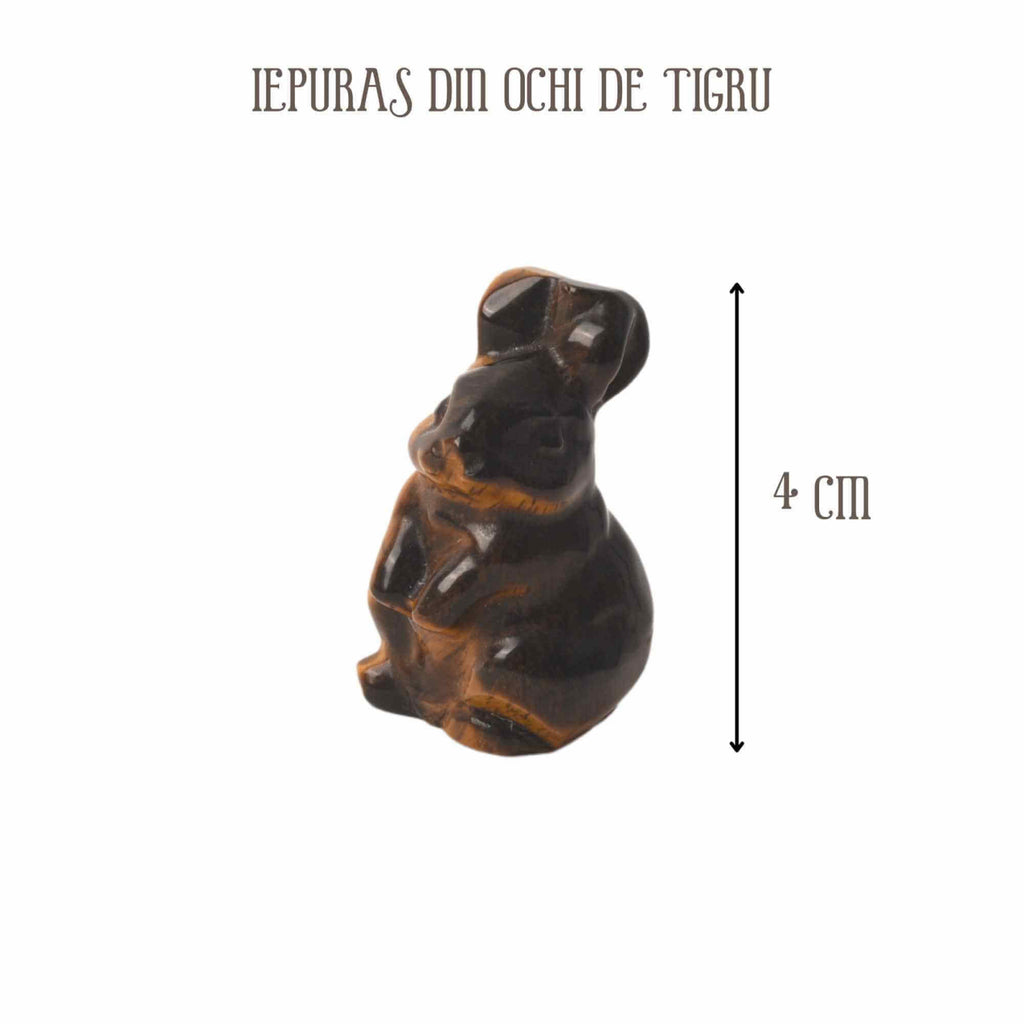 ZSC13-133-OT2