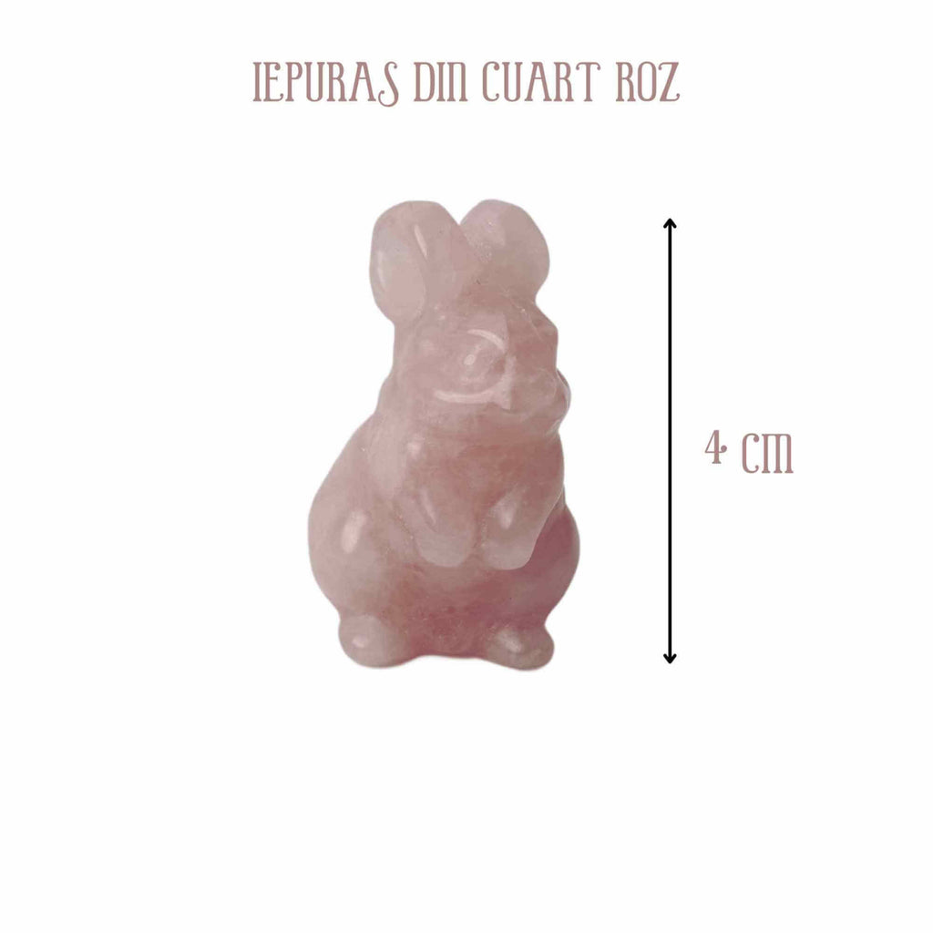 ZSC13-133-CR2