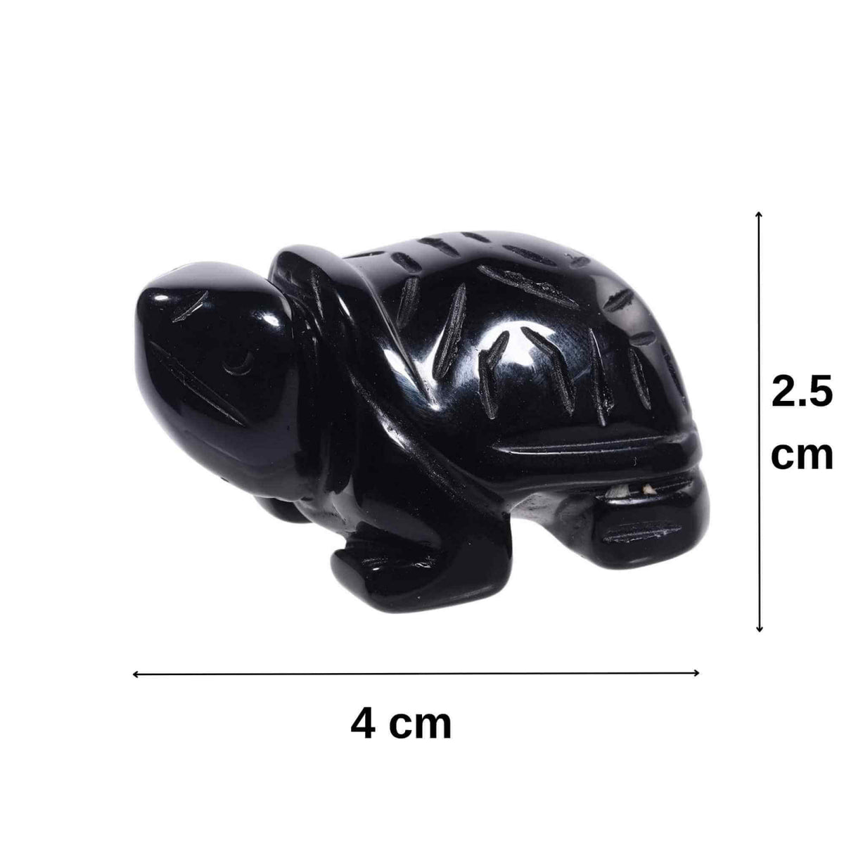 ZSC13-136-OBS1