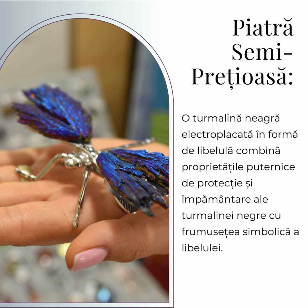 Amuleta Transformare - Libelula Turmalina Neagra Curcubeu