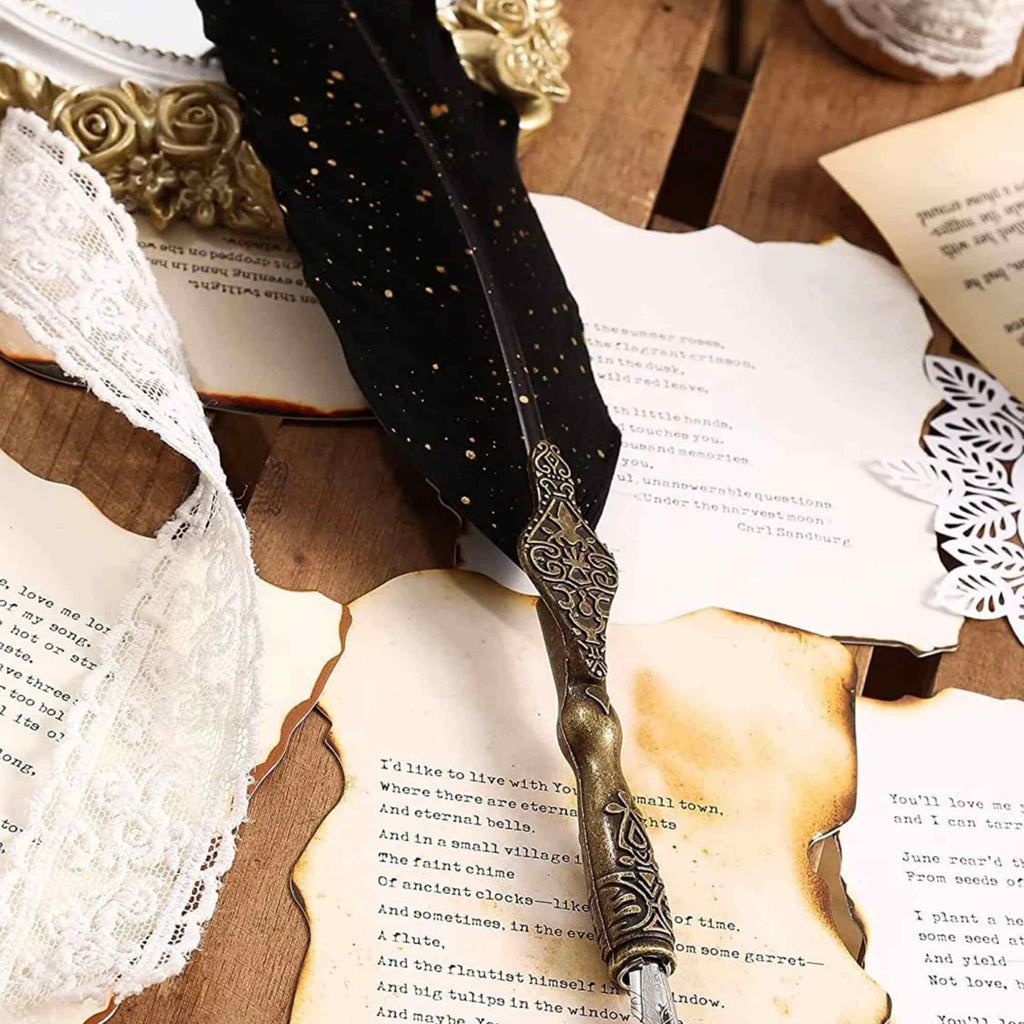 Set Stilou cu Pana - Caligrafie eleganta, cadoul perfect pentru orice ocazie