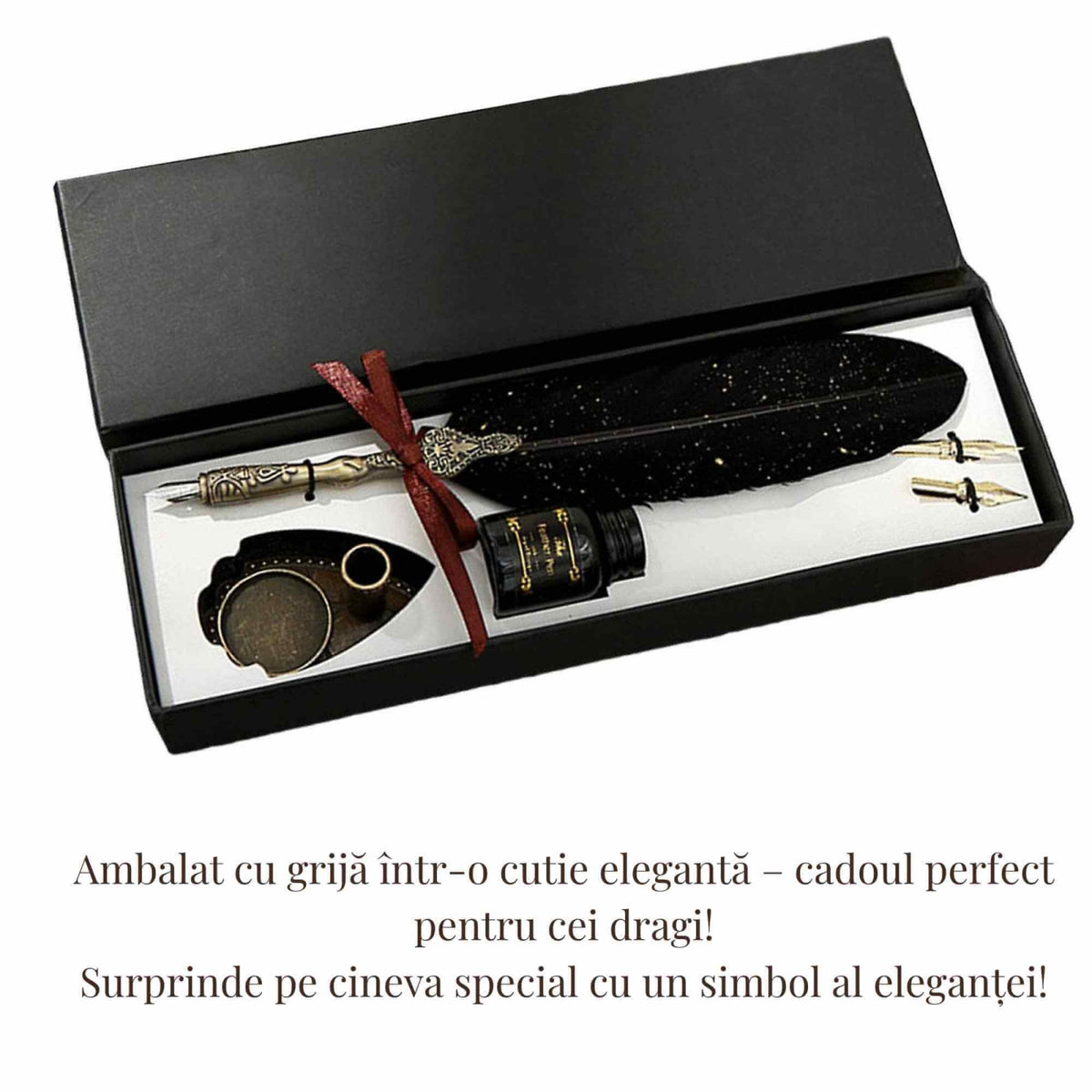 Set Stilou cu Pana - Caligrafie eleganta, cadoul perfect pentru orice ocazie