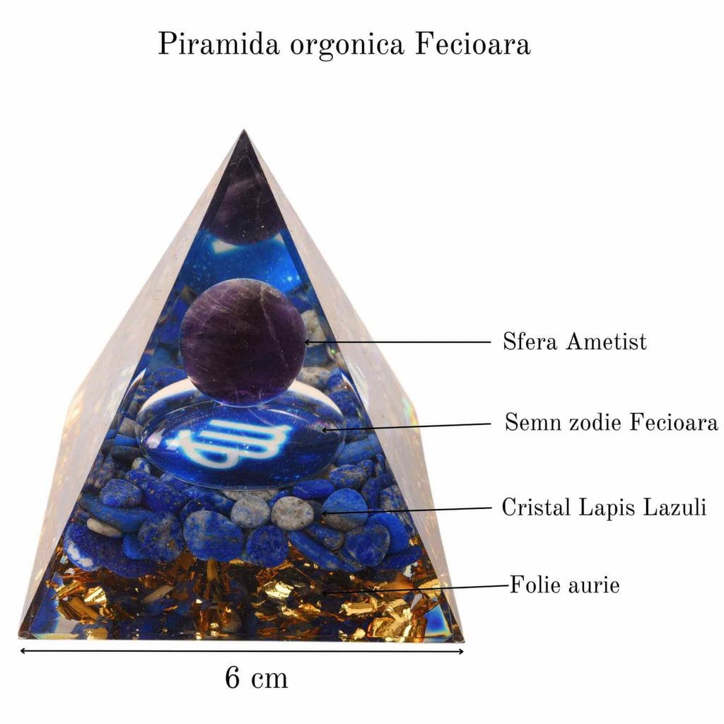 ZSC16-22-Fecioara1